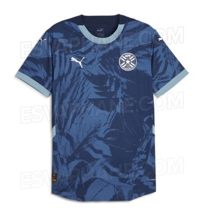 Arte da categoria Copa América